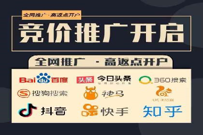 SEM广告投放策略：成功案例解析